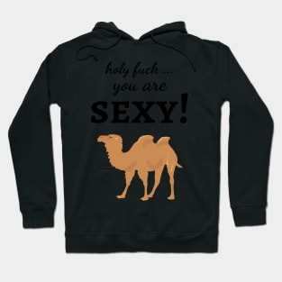 Holy Fuck ... You Are Sexy Hoodie